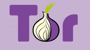how to.use the dark web with tor app how to.use the dark web with tor app