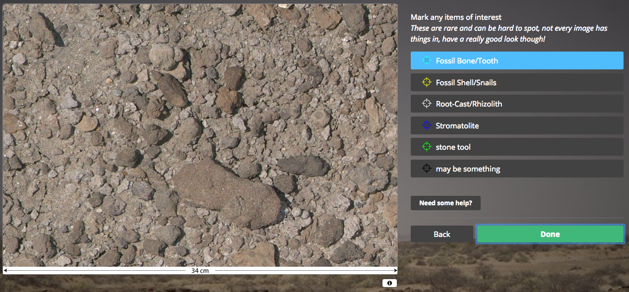 Help hunt for fossils online One Page