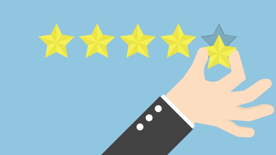 fake review spot