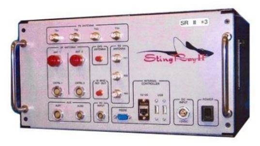 stingray