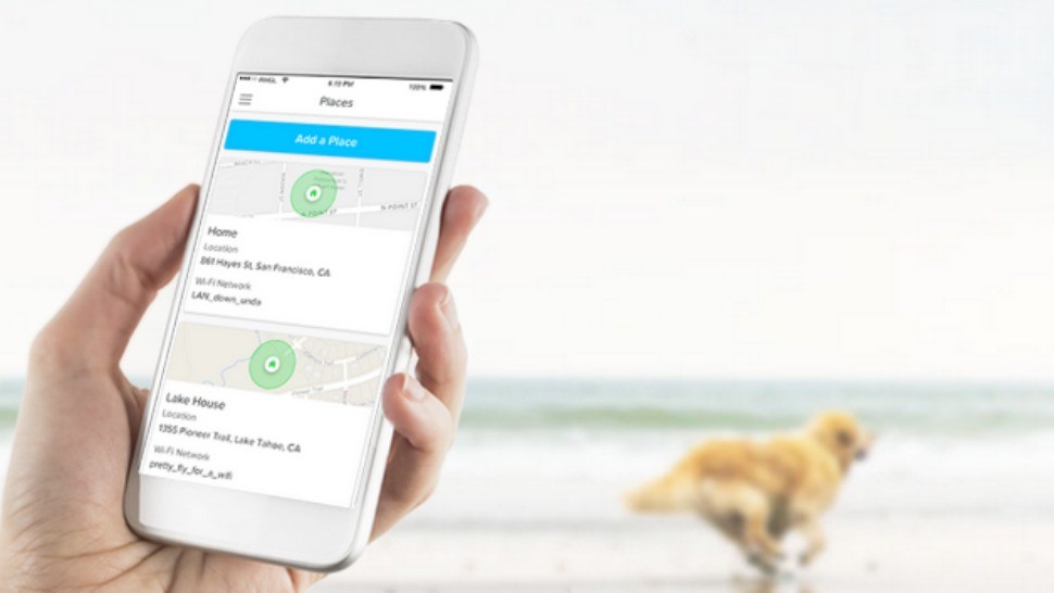 best gps pet tracker