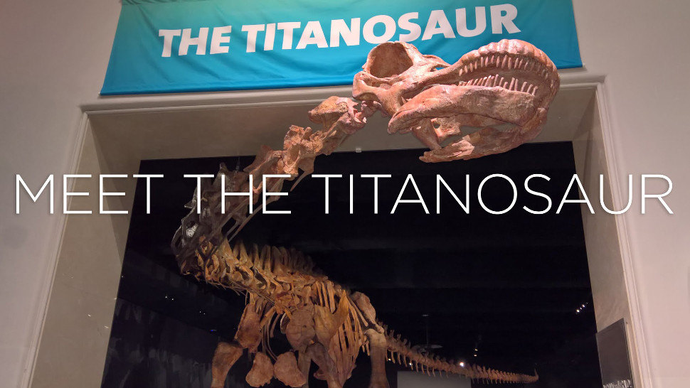 world's biggest dinosaur skeleton