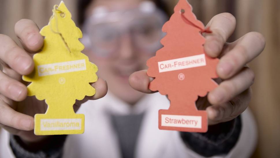 Why are car air fresheners shaped like trees, anyway?