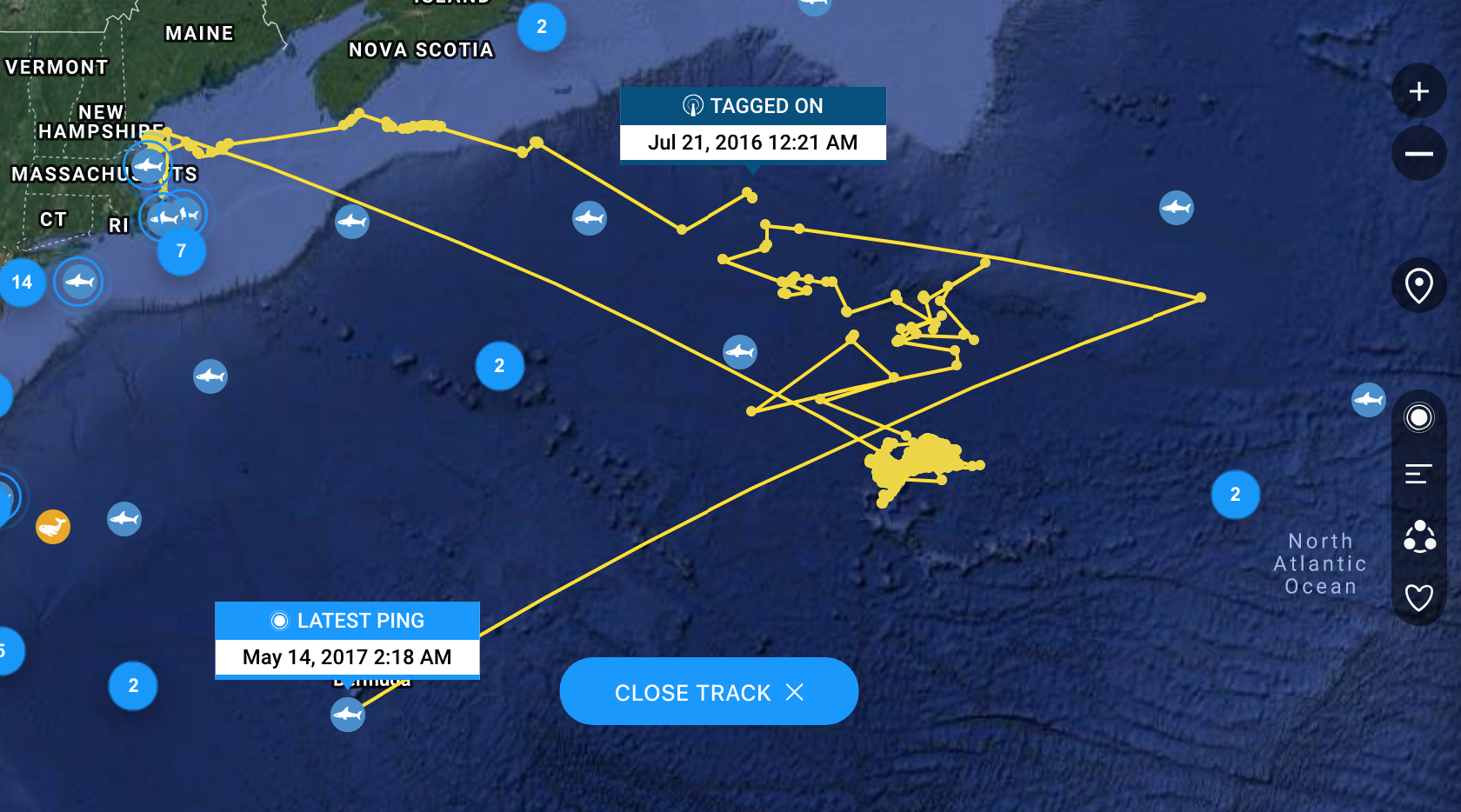 Site lets you track sharks around the world - Komando.com