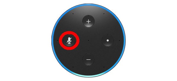 Amazon Echo top view