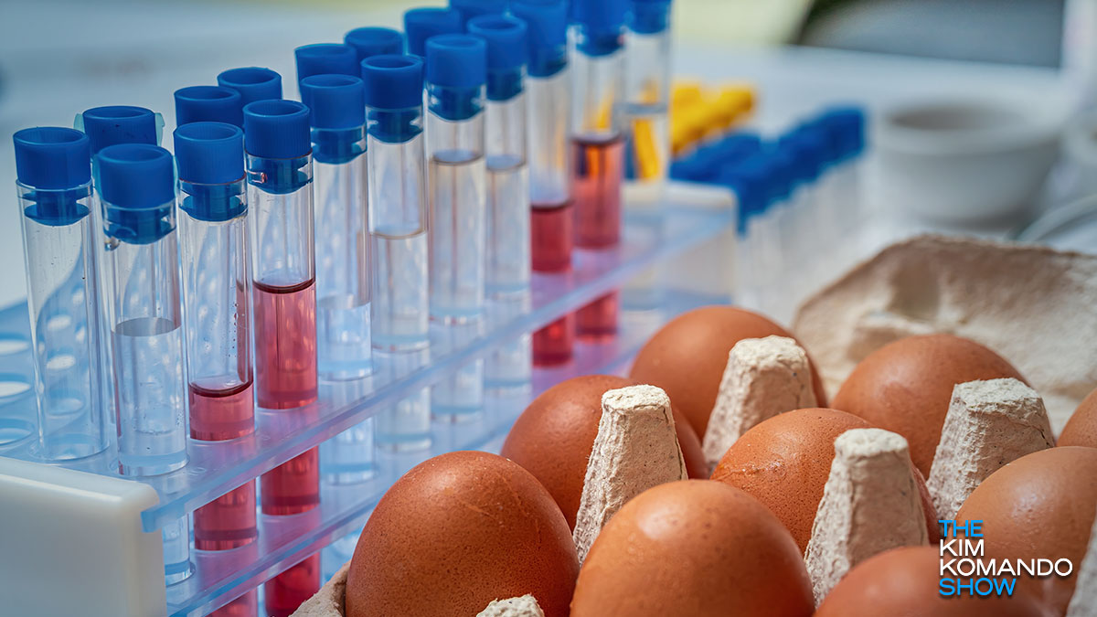‘Rapidly growing’ salmonella outbreak hits 23 states