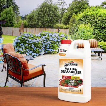 Spectracide Weed and Grass Killer Concentrate