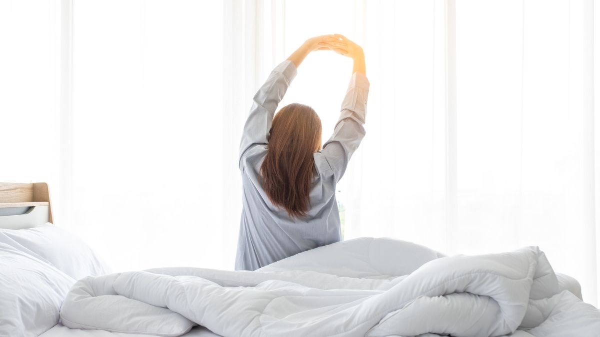 sleepwell cooler price