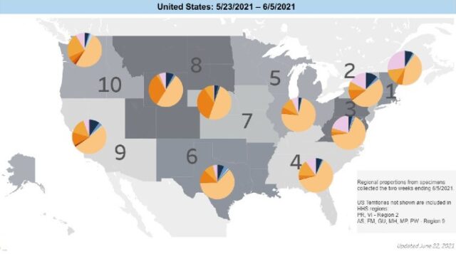Use this map to track the COVID Delta variant in the US
