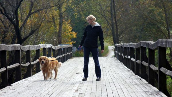5 apps every pet owner should download