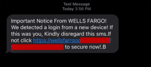 Phishing scam money