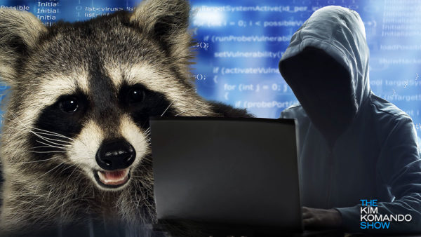 This malware steals your passwords and is on sale for anyone who wants to use it
