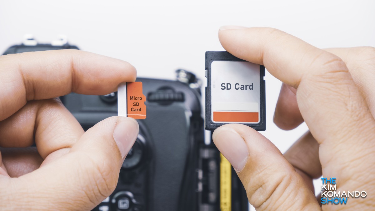 Guide to SD cards vs. micro SD cards and how to choose one