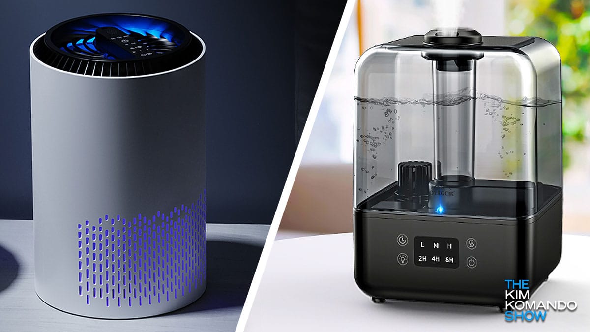 The best air filters and humidifiers for indoor allergy control
