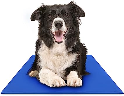 The coolest dog mat ever!