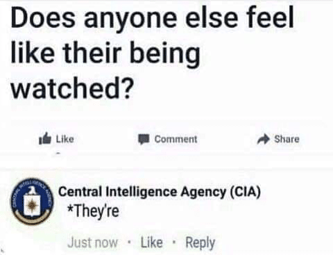 What the tech?