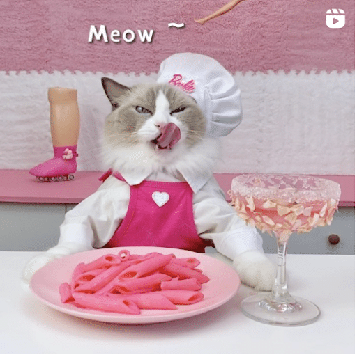 Puff meow