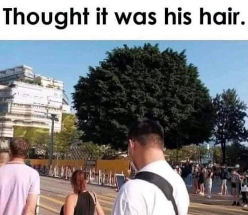 WHAT THE TECH?