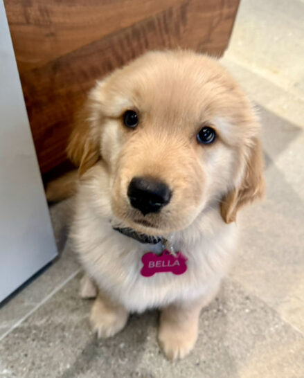 Bella