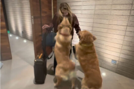 Music made by machines (and me)