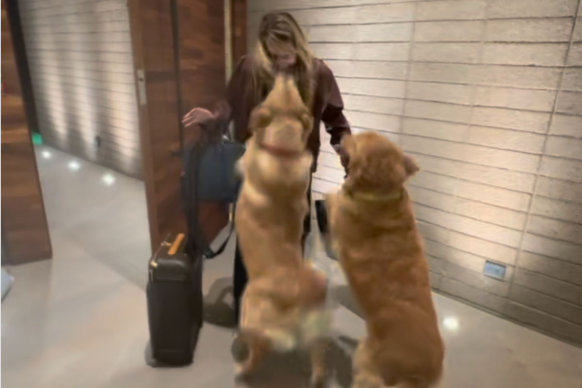 Music made by machines (and me)