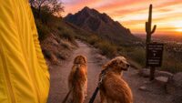 The free prayer app I use on my morning walks (plus 6 alternatives)