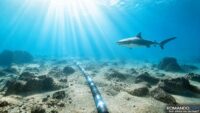 The internet isn’t in a cloud. It’s 600 cables on the ocean floor, and a single one is about as thick as a garden hose.