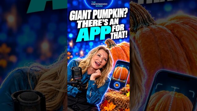 Giant pumpkin there